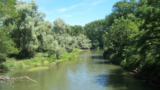 The Olona River