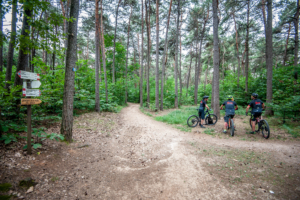 Basso Olona tra i boschi del Parco Pineta