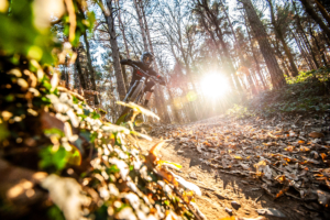 Monte S. Giacomo, il punto più alto del Parco Ticino